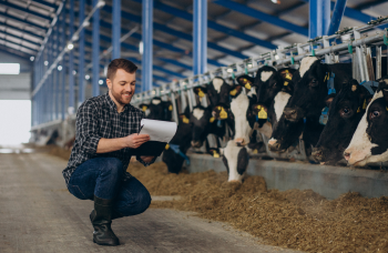 Hombre granjero con vacas revisando tableta de documentos en sus manos