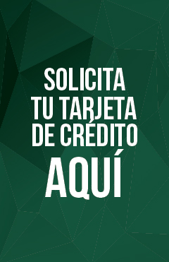 pauta_solicitud_tarjeta_credito