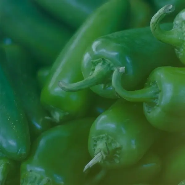 Chiles Jalapeños