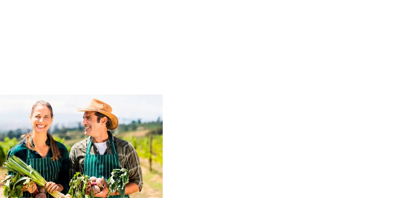 Pareja sonriente cultivando vegetales