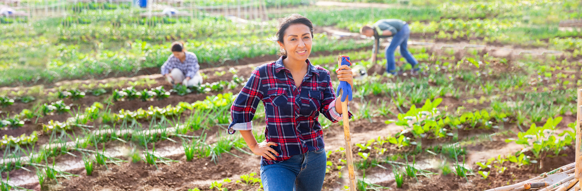 Seguros LAFISE y Financiera FDL se unen nuevamente para facilitar, en esta ocasión el acceso al seguro Remesa Pinolera